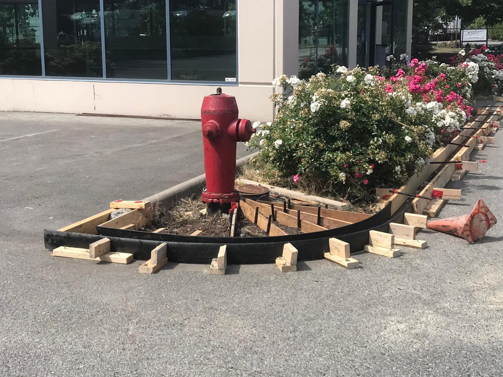 WhatsApp Image 2026-02-23 at 01.44.44 (5)